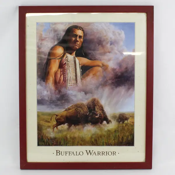 Framed Poster Buffalo Warrior By Detha Watson 21.25 x 17.25