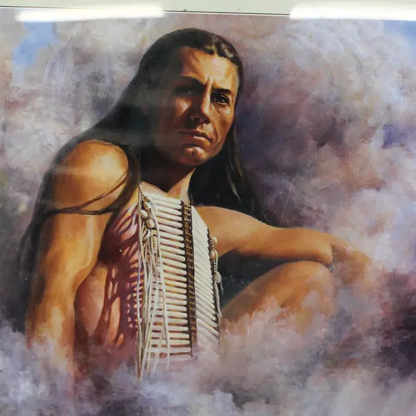 Framed Poster Buffalo Warrior By Detha Watson 21.25 x 17.25