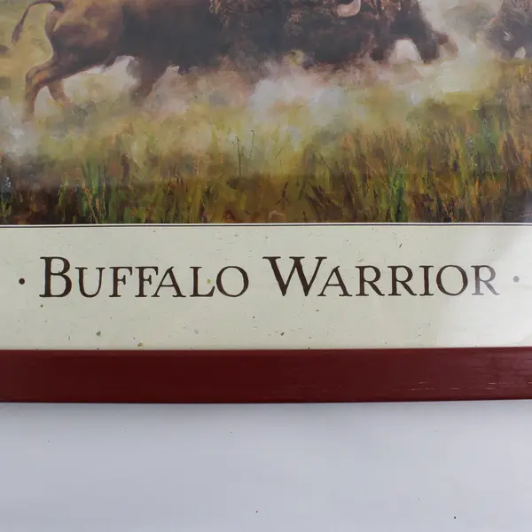 Framed Poster Buffalo Warrior By Detha Watson 21.25 x 17.25