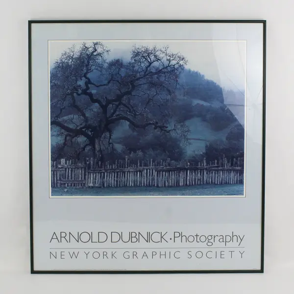 1984 New York Graphic Society Framed Poster Oak In Rain By Arnold Dubnick.