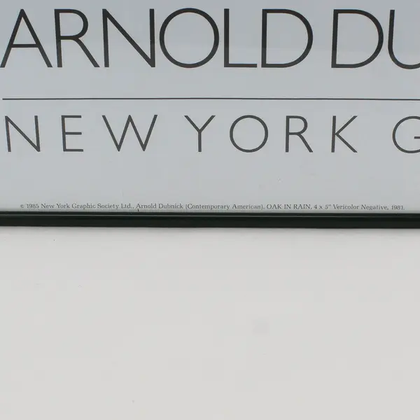 1984 New York Graphic Society Framed Poster Oak In Rain By Arnold Dubnick.