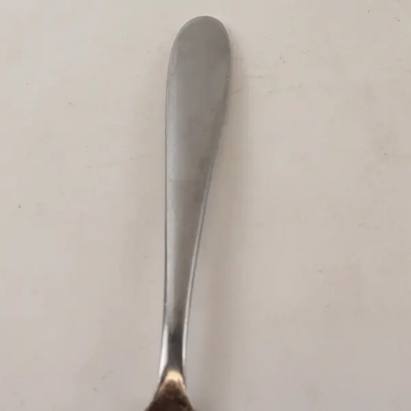 Lot of 5 Oneida Silver Eve Pattern Stainless Steel Dinner Forks 8.25" Long Good