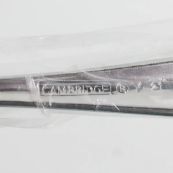 Lot Of 6 Cambridge Silver Unknown Rare Pattern SS Dinner Forks 6.75" New in Bags