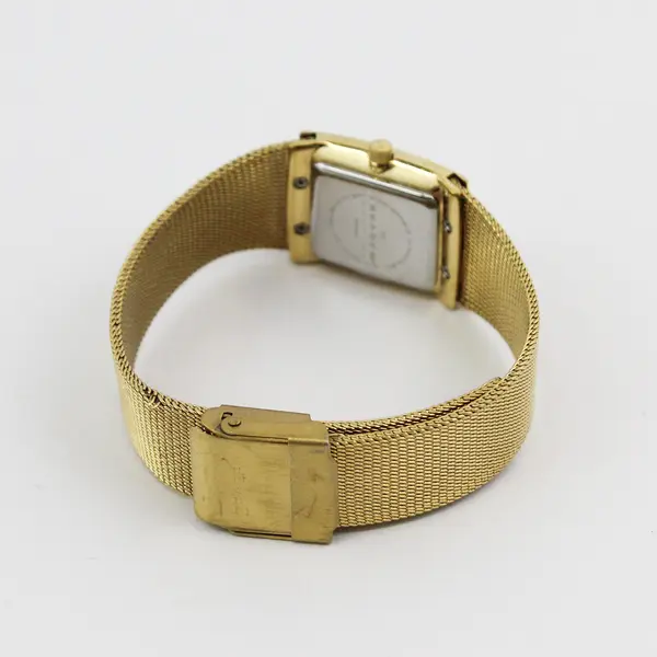 Skagen Women's Gold-Tone Stainless Steel Quartz Wristwatch UNTESTED
