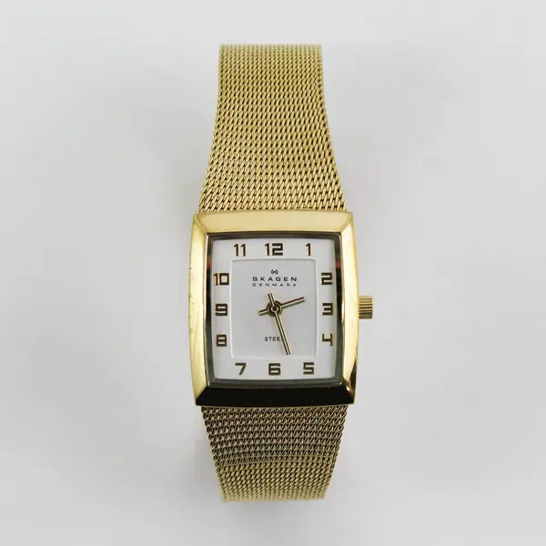 Skagen Women's Gold-Tone Stainless Steel Quartz Wristwatch UNTESTED