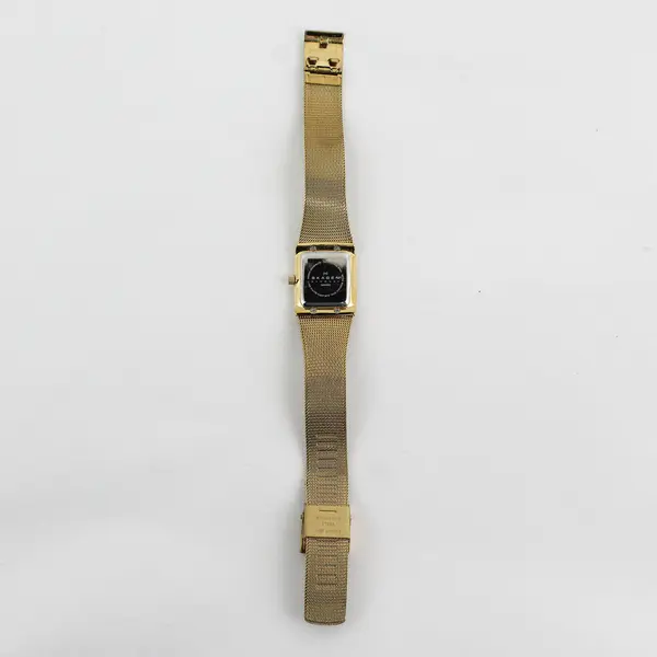 Skagen Women's Gold-Tone Stainless Steel Quartz Wristwatch UNTESTED