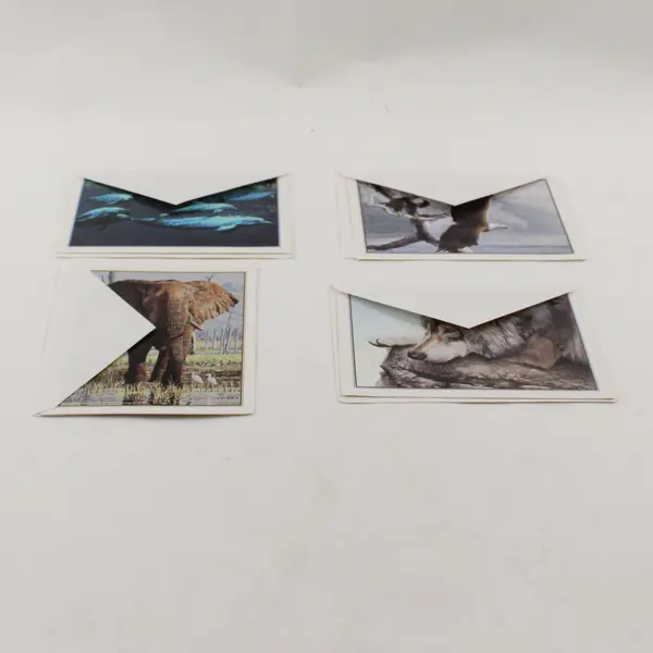 Lot of 4 Vintage 1997 Defenders of Wildlife Notecards with Envelopes Unused
