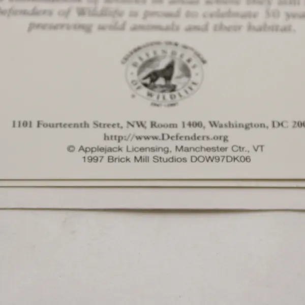 Lot of 4 Vintage 1997 Defenders of Wildlife Notecards with Envelopes Unused