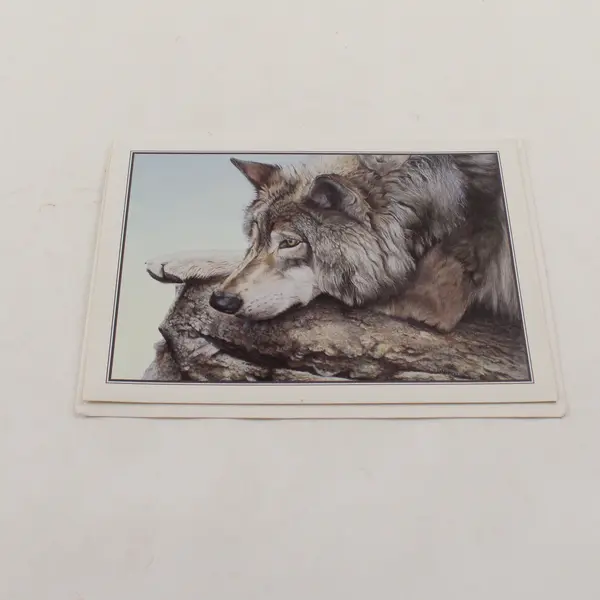 Lot of 4 Vintage 1997 Defenders of Wildlife Notecards with Envelopes Unused