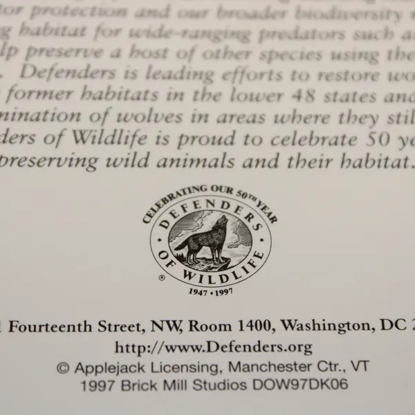 Lot of 4 Vintage 1997 Defenders of Wildlife Notecards with Envelopes Unused