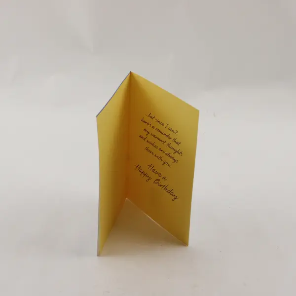 Vintage Hallmark Birthday Card with Envelope Unused