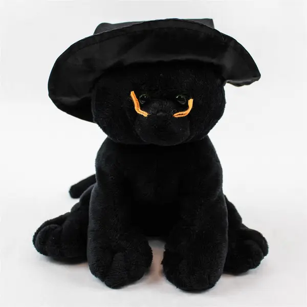 TY Beanie Babies Merlin 2005 Black Cat With Witch Hat W/Out Tag Plush Toy