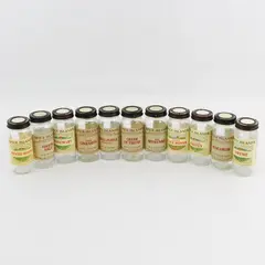 Lot Of 11 Spice Islands Empty Clear Glass Spice Jars W/ Matching Lids 4.5" Tall