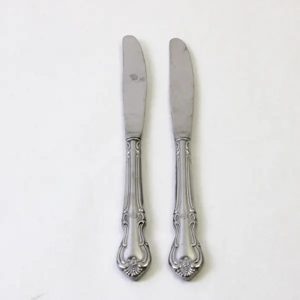 Set of 2 Salem Victoria Stainless Steel Dinner Table Knives 9 in