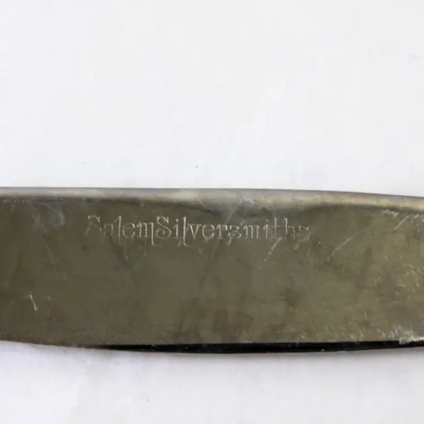 Set of 2 Salem Victoria Stainless Steel Dinner Table Knives 9 in
