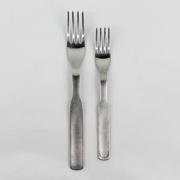 Set of 2 IKEA 365+ Stainless Steel Forks includes Salad Fork and Dining Fork 