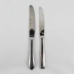 Lot of 2 Mismatched Stainless Steel Dining Dinner 9" Knives Flatware