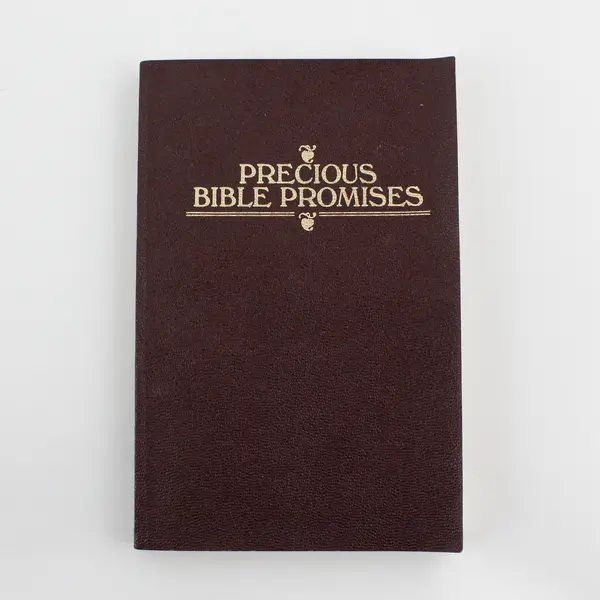 Vintage Precious Bible Promises From The New King James Version 1983 Soft Cover 