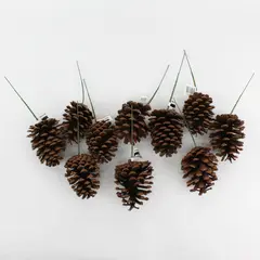  Lot of 10 Darice Pinecones With Wires For Crafting or Floral Arrangements