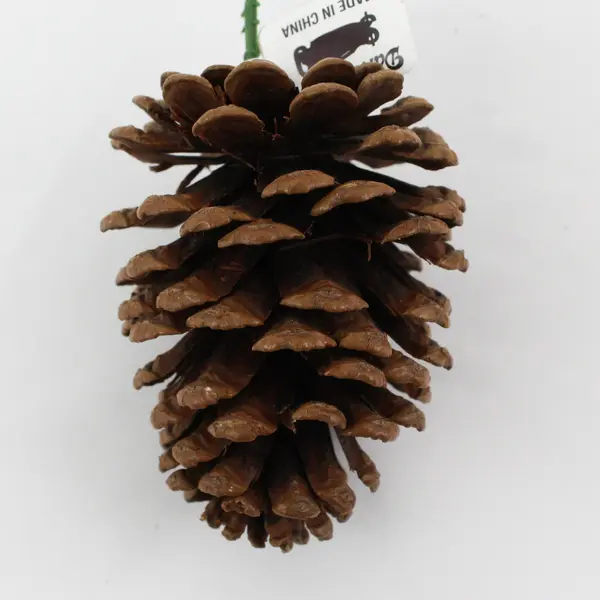  Lot of 10 Darice Pinecones With Wires For Crafting or Floral Arrangements