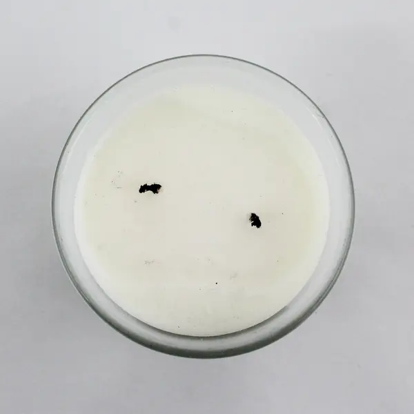 Ivy Botanics Candle Co. Lush Rosemary 14.8oz Large Double Wick - USED 