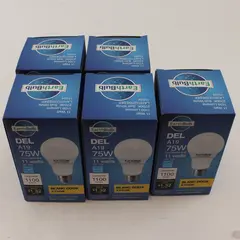 Lot Of 5 Earth Bulb LED Soft White Dimmable Light Bulbs 75W 11 Watts 120 Volts
