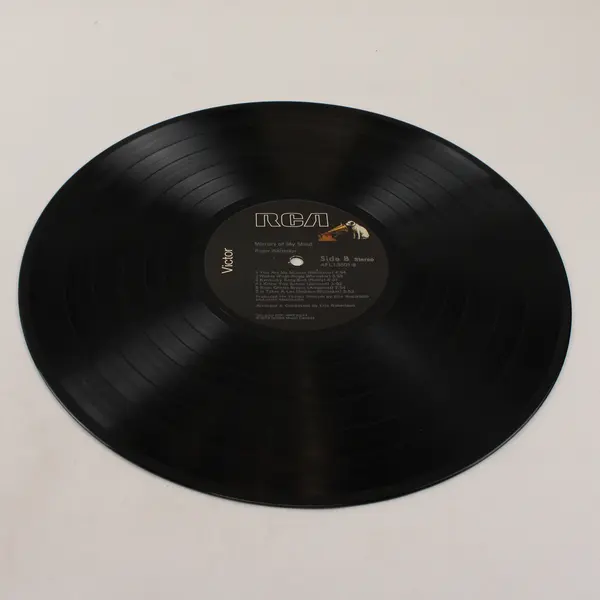 Roger Whittaker - Mirrors Of My Mind 12" Vinyl Record