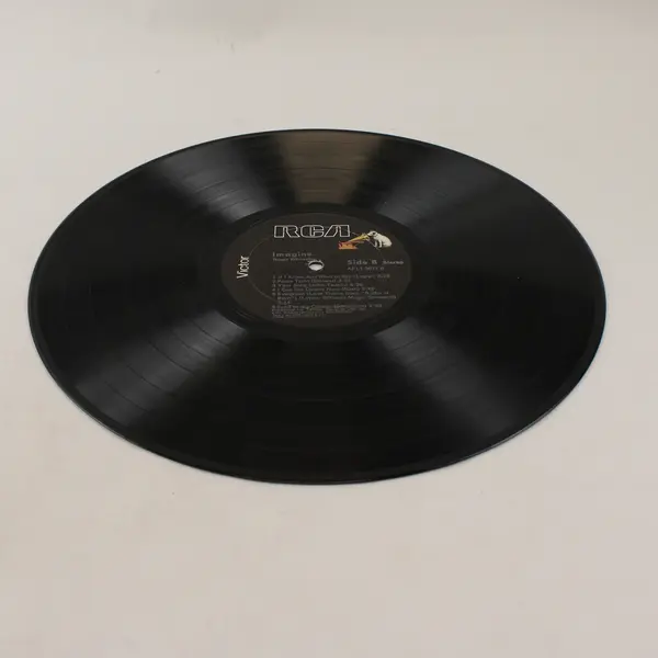 Roger Whittaker Imagine 12" Vinyl Record
