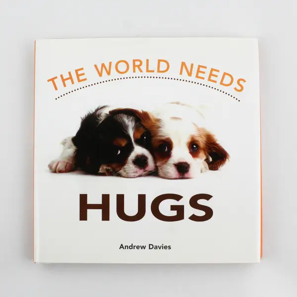 The World Needs Hugs by Andrew Davies 2004 Hardcover DJ Illustrated 1st Edition