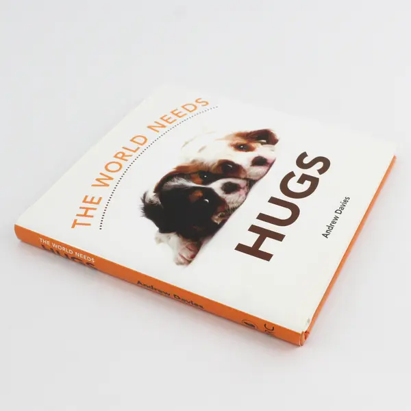 The World Needs Hugs by Andrew Davies 2004 Hardcover DJ Illustrated 1st Edition