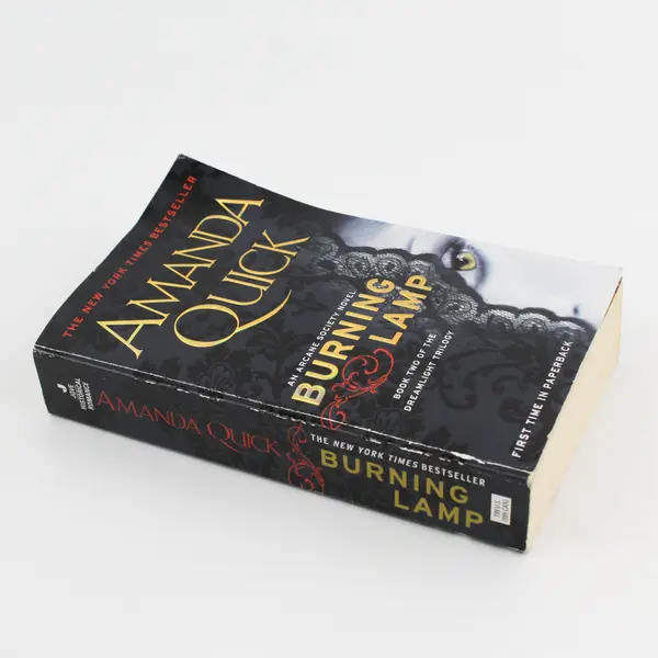 Burning Lamp Amanda Quick Arcane Society Novel #2 of Dreamlight Trilogy 2011 PB