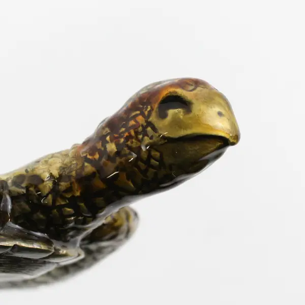 Enameled Brass Turtle Trinket Box With Plastic Shell