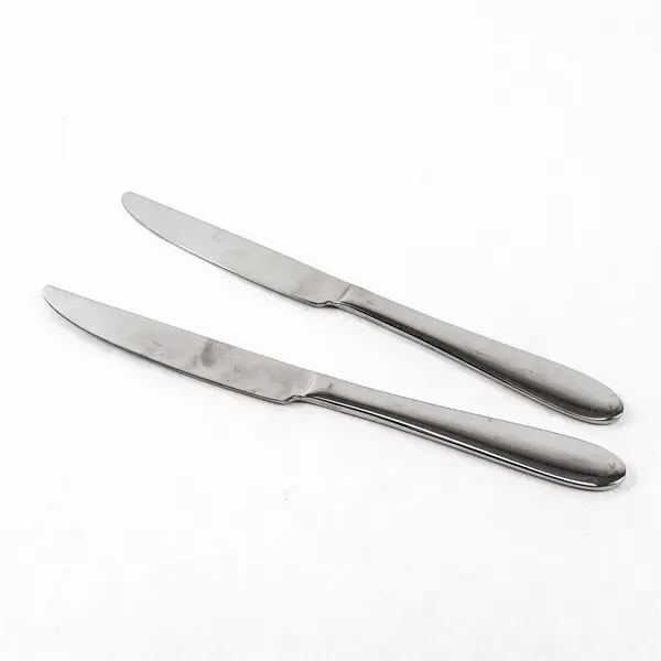 Lot of 2 Oneida Silver Eve Pattern Stainless Steel Dinner Knives 9.5" Long Good