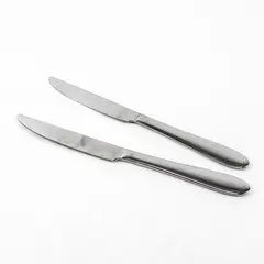 Lot of 2 Oneida Silver Eve Pattern Stainless Steel Dinner Knives 9.5" Long Good