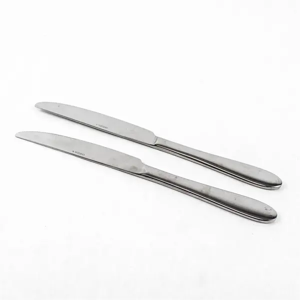 Lot of 2 Oneida Silver Eve Pattern Stainless Steel Dinner Knives 9.5" Long Good