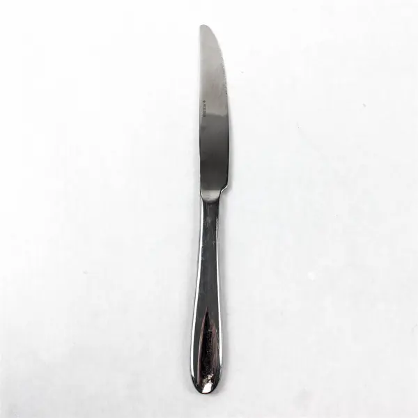 Lot of 2 Oneida Silver Eve Pattern Stainless Steel Dinner Knives 9.5" Long Good