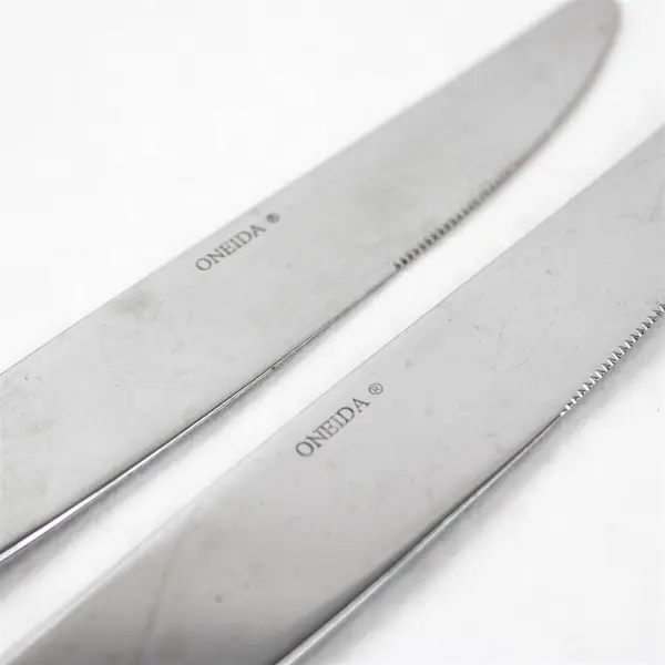 Lot of 2 Oneida Silver Eve Pattern Stainless Steel Dinner Knives 9.5" Long Good