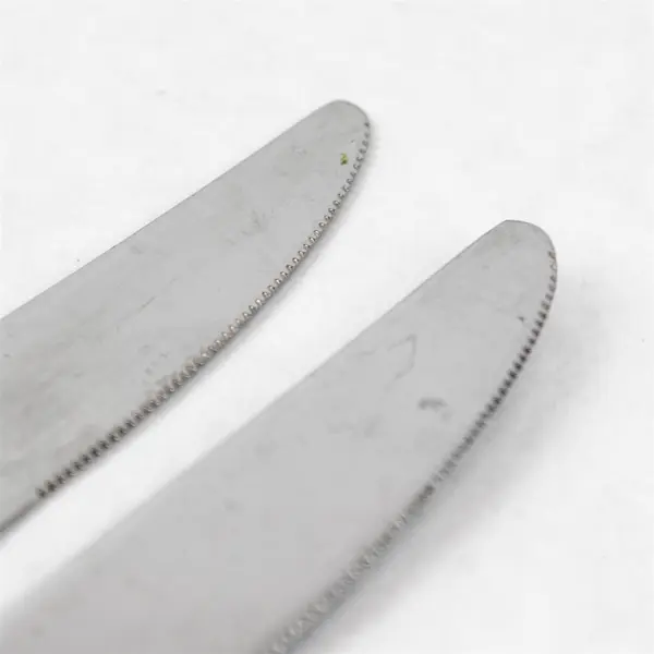 Lot of 2 Oneida Silver Eve Pattern Stainless Steel Dinner Knives 9.5" Long Good