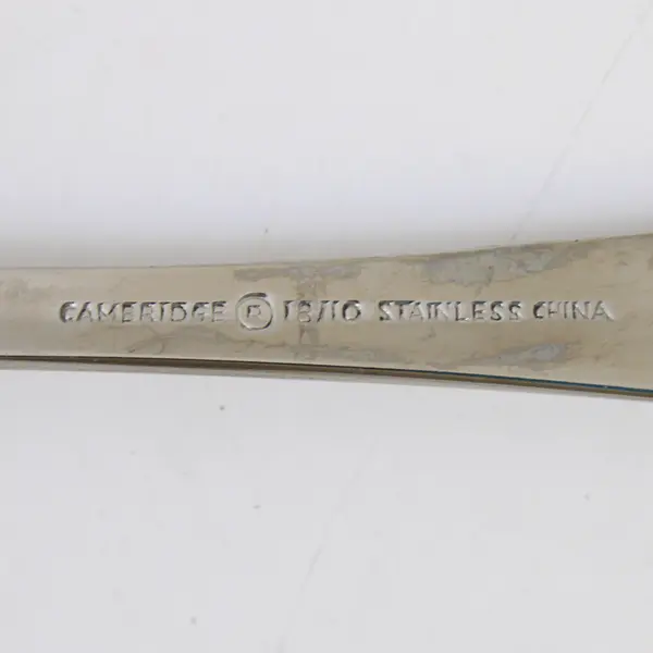 Lot Of 4 Cambridge Silver Dorsett (Stainless) Flatware Soup Spoons 9.25" Long