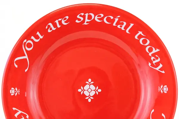 Vintage 1979 Original Red Plate Company "You Are Special Today"  10.5" Plate