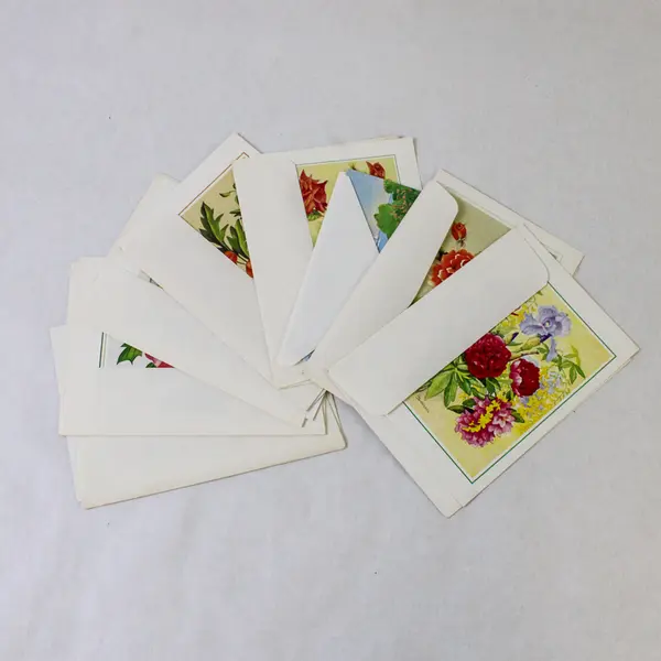 Lot of 8 Floral Illustrated Notecards with Envelopes UNUSED