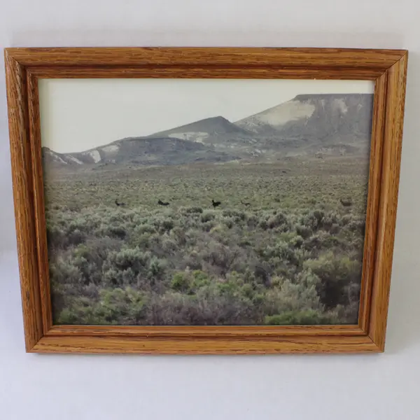Lot of 4 Framed Great Basin Nevada Photographs Wall Art