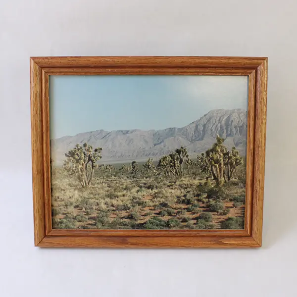 Lot of 4 Framed Great Basin Nevada Photographs Wall Art