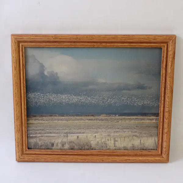 Lot of 4 Framed Great Basin Nevada Photographs Wall Art