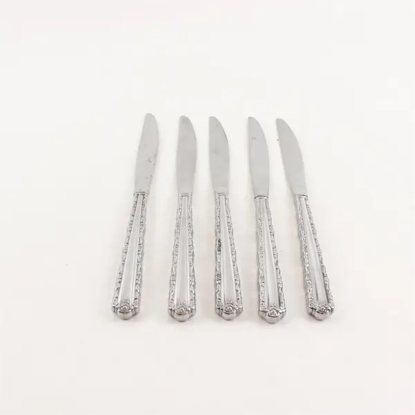Lot Of 5 Oneida Cherie (Stainless) Pattern Flatware Dinner Knives 9.25" Long