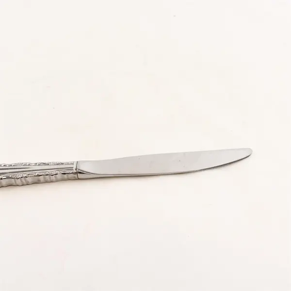 Lot Of 5 Oneida Cherie (Stainless) Pattern Flatware Dinner Knives 9.25" Long