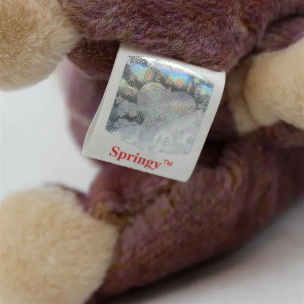 Ty Beanie Baby Springy (Bunny 2000) Tag Protector