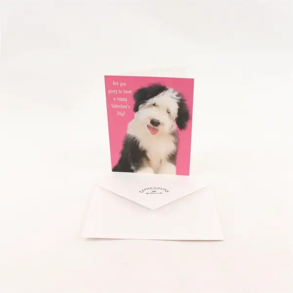 Lot of 3 Hallmark Valentines Day Greeting Cards with Envelopes UNUSED