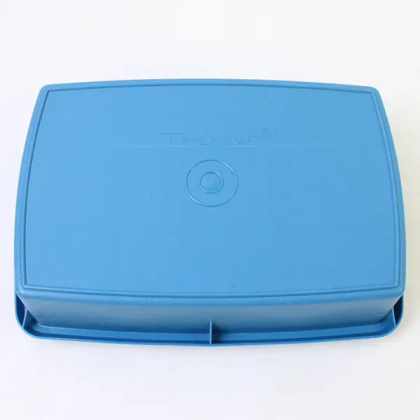 Tuppercraft Divided Lunch Container with Lid, Blue #767-13 USA 