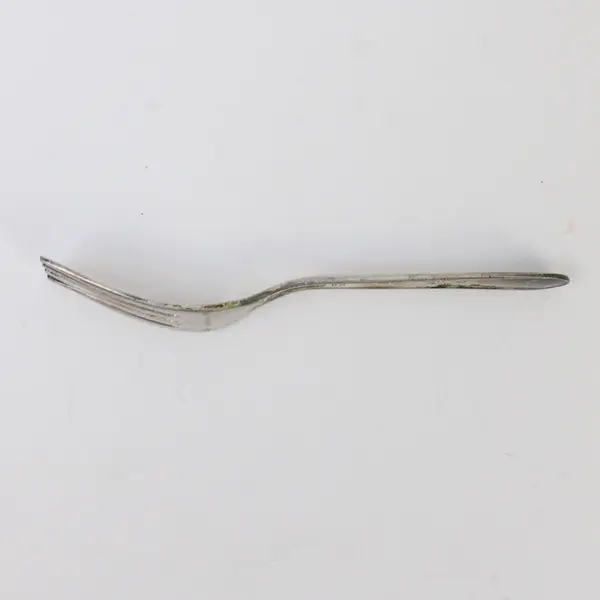 WM Roger & Sons Spring Flower (Silverplate) Flatware Baby Fork 4.5"